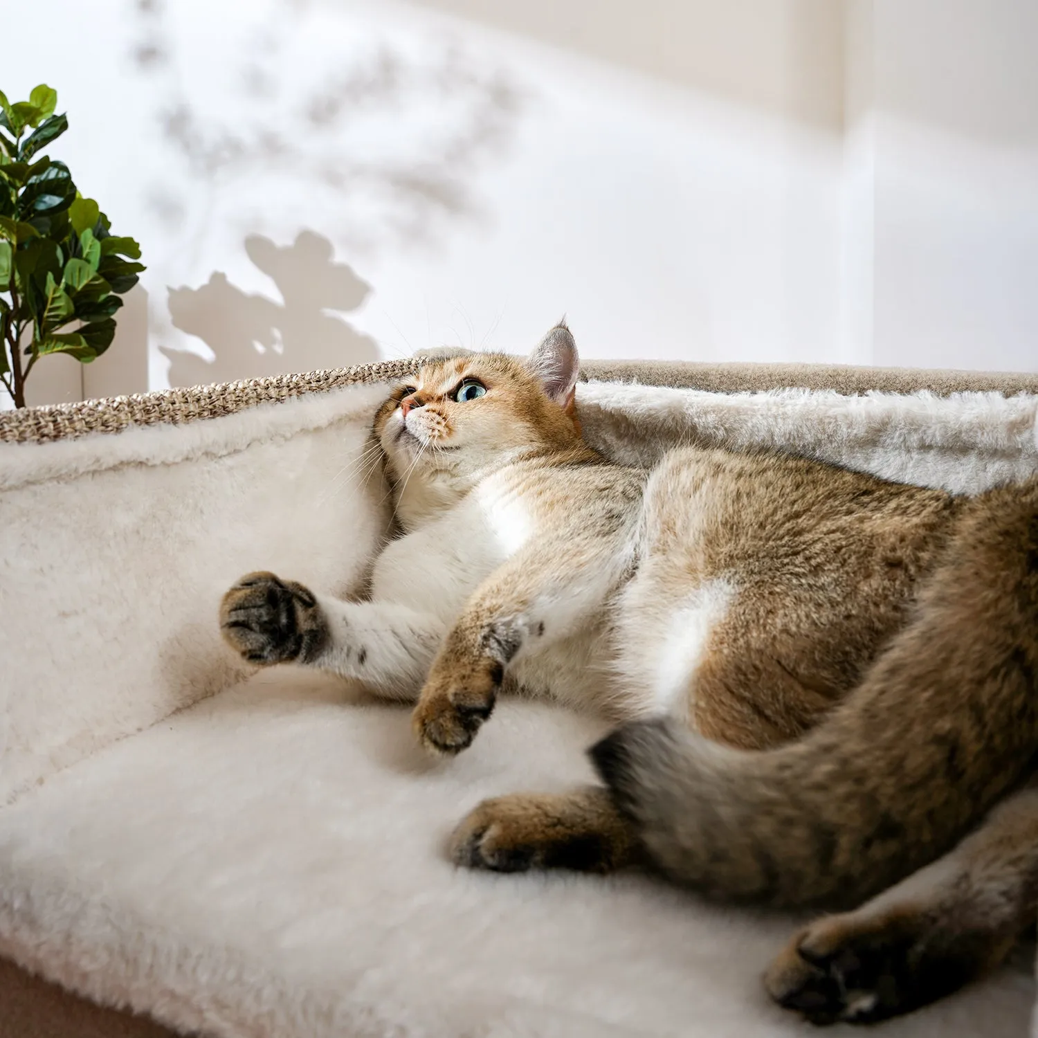 Snow-topped Sisal Bucket Multi-cat Sharing Large Litter Box