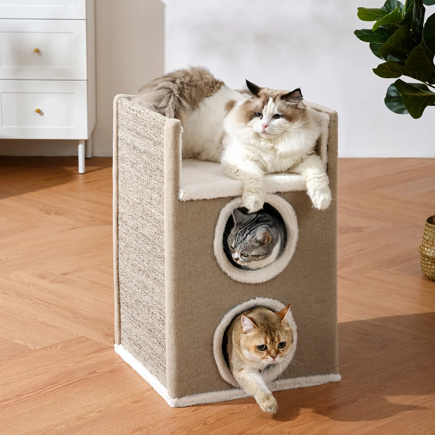 Snow-topped Sisal Bucket Multi-cat Sharing Large Litter Box