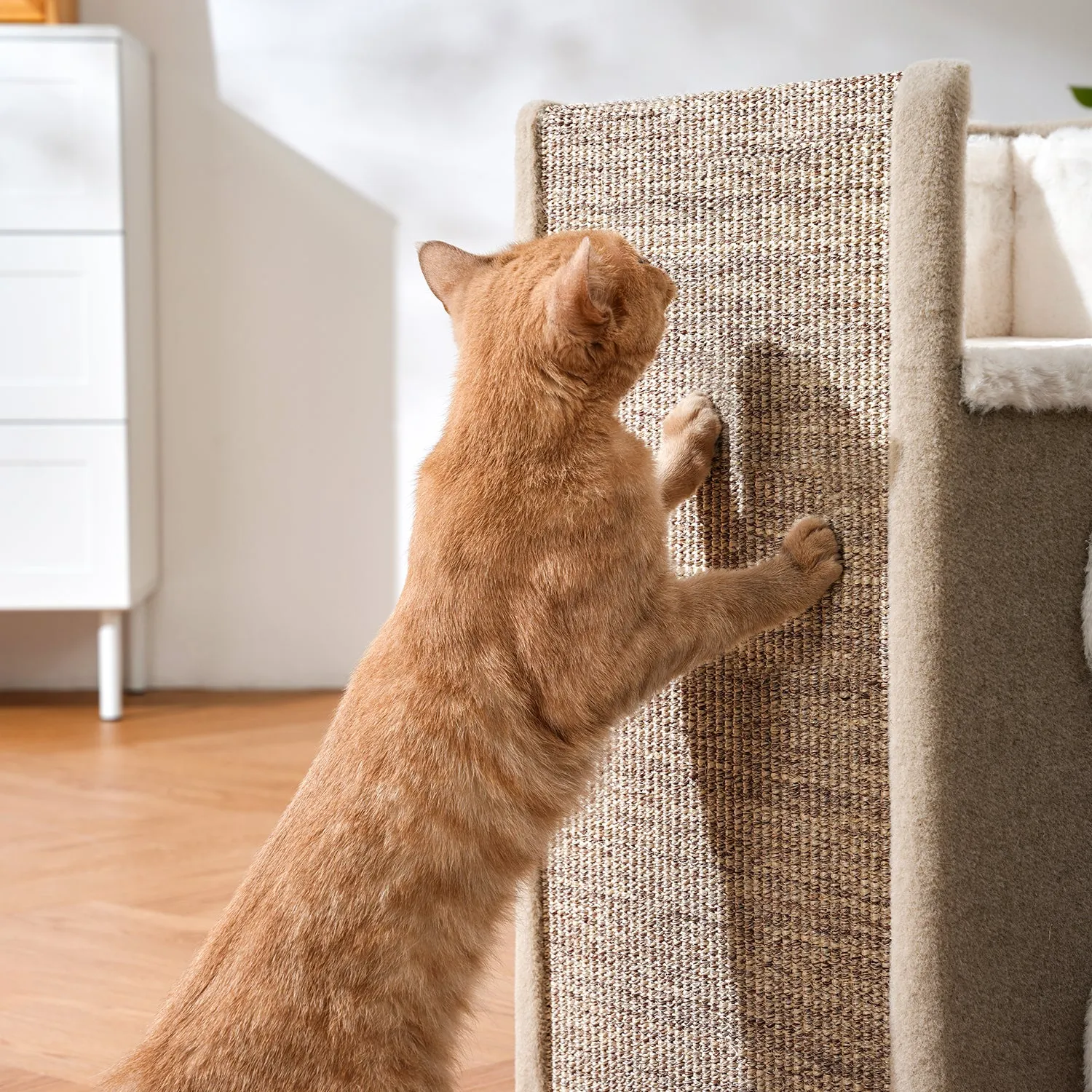 Snow-topped Sisal Bucket Multi-cat Sharing Large Litter Box