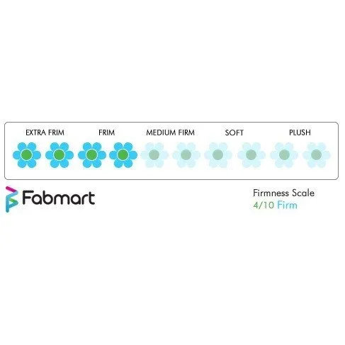 Spring Air Ortho Plus Mattress - PU Foam
