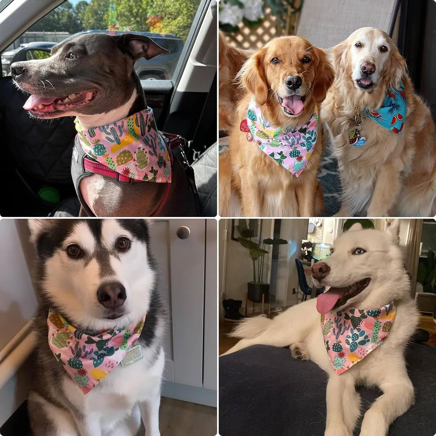 Spring Summer Dog Bandana-1PCS Tropical Plant Printing Dog Scarf Triangle Adjustable Breed Puppy Bandana Bib Handkerchief for Large Medium Girl Boy Dogs Pets Gift