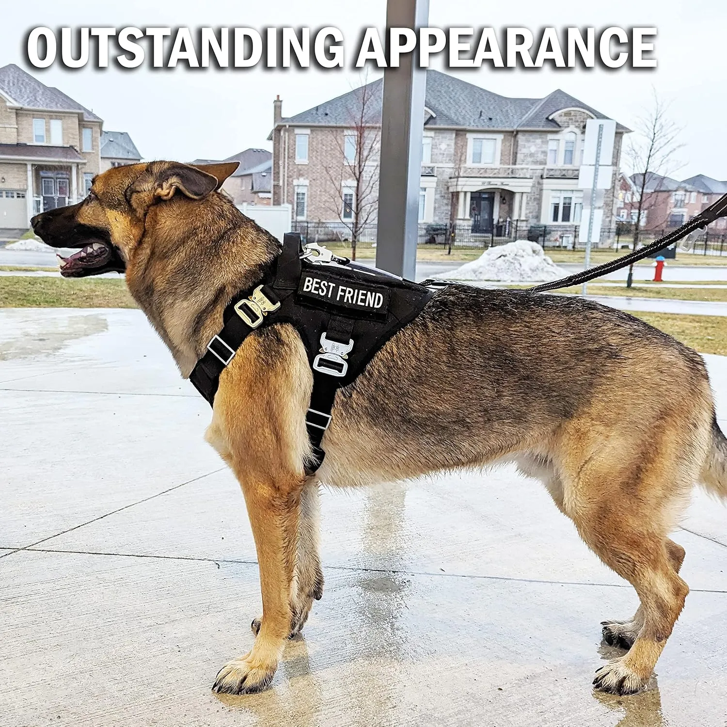 Tactical Dog Harness for Small Sized Dogs with Metal Buckle; Military Style Tactical Dog Vest Harnesses; Heavy Duty Harness for Small Dogs with All Metal Components. Black (S)