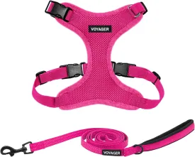 Voyager Step-in Lock Dog Harness w Reflective Dog Leash Combo Set with Neoprene Handle 5ft - Supports Small, Medium and Large Breed Puppies/Cats by Best Pet Supplies - Fuchsia, L