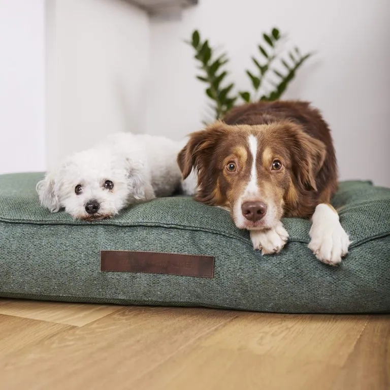 William Walker Chill Dog Cushion Dark Moss